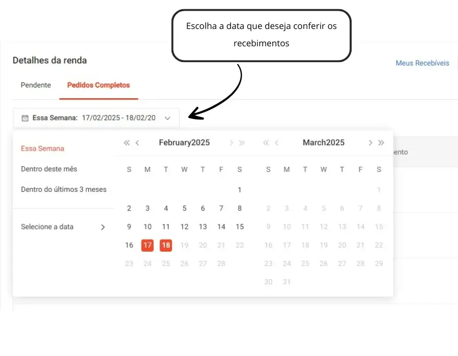 Painel Minha Renda Shopee Definir Período de Busca Passo 3