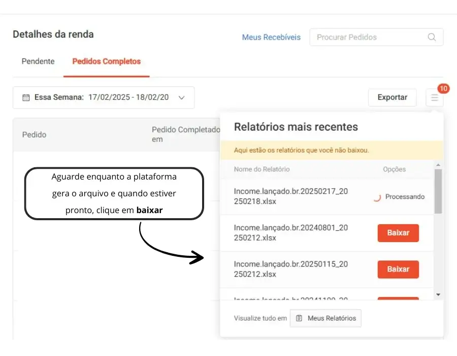 Painel Minha Renda Baixar Planilha Passo 4